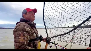 🔴LIVE Catfishing / Ice Bowl Catfish Tournament Prefishing