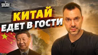 Си Цзиньпин щелкнет по носу Путина. В Киев едет официальный представитель Китая