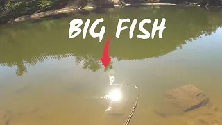 VISUAL SWIMBAIT EATS - Final session for the MURRAY COD season