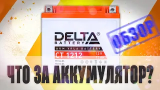 Delta CT 1212.  Что за аккумулятор?  Как узнать дату производства?