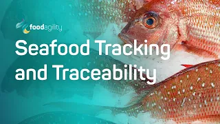 Seafood Tracking and Traceability: from 'bait to plate' with blockchain