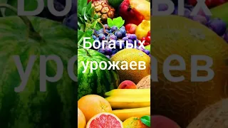 Лунный посевной календарь на август 2022 года #shorts