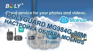 Bolyguard MG984G-36M trail camera - how to setup Molnus cloud service