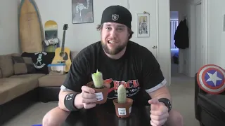 LA Beast Eats a Cactus while Walk of Life is playing