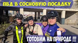 ПВД 19.10.19г в сосновую посадку в районе с.Красино.