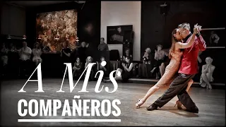 ' A Mis Compañeros ' by Michael EL GATO Nadtochi & Elvira lambo
