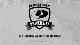 Best Arrow Weight for Big Game • Mossy Oak University