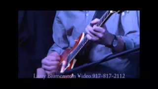 Jon Herington Trio Featuring The Steely Dan Singers- Pretzel Logic