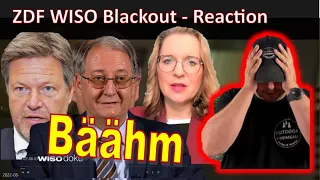 Video gesperrt: ZDF WISO Blackout in Deutschland - Horrorszenario oder reale Gefahr? -  Reaction