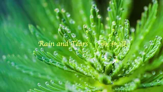 Rain and Tears 雨和淚 ～ Aphrodite's Child (愛神之子）～ 鋼琴版Piano～紓壓 Pressure relief★放鬆 Relax★療癒 comfort music