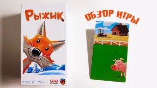 РЫЖИК 🐱 Обзор игры на внимание и запоминание!