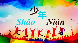 Shao Nian  少年 – 梦然 Cover by : 蔡恩雨 Priscilla Abby 【动态歌词 Pinyin Lyrics】