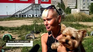 В Твери открылась первая муниципальная собачья площадка