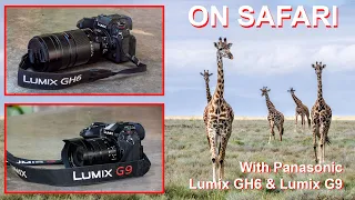 ON SAFARI IN TANZANIA - with Panasonic Lumix GH6 and Lumix G9