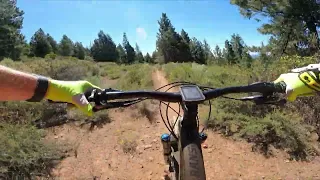 Spence Mountain Hooligan trail from top to bottom, Scott Ransom, Gopro Hero 9