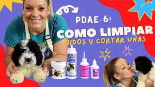 PDAE 6 - COMO LIMPIAR OIDOS Y CORTAR UÑAS