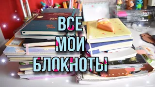 МОЯ КОЛЛЕКЦИЯ БЛОКНОТОВ