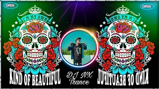 AL PA PE @DjDipon888k DJ Fizo TOP Trance Mix @DJ_SIBRO (original music) #Viral_Music_video