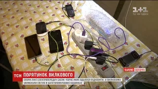 Енергетикам вдалося відновити лінії електромереж та повернути світло в Вилково