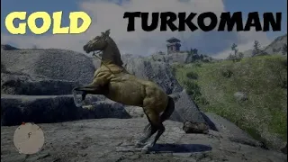 Gold Turkoman|Red dead Redemption 2