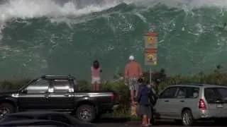 Mega Wave at Sharks Cove