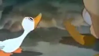 ducks cartoon (tom and jerry)