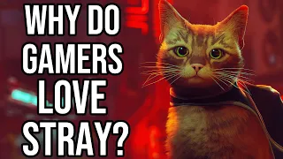 Why Do Gamers LOVE Stray?