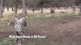 HECS in action: Spot and stalk mule deer