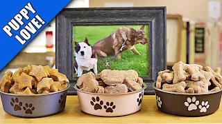 Irresistible Homemade Dog Treats: 3 Recipes Your Pup Will Love!