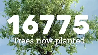 Help plant trees around the world