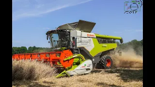 Claas Lexion 7700tt in der staubigen Ernte/ Lohnunternehmen Stephan Keinath