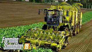 FINALIZANDO A COLHEITA DE BETERRABA | Farming Simulator 19 | Evolução Constante - Episódio 18