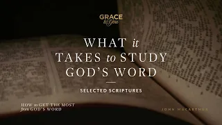 What It Takes to Study God's Word (Selected Scriptures) [Audio Only]