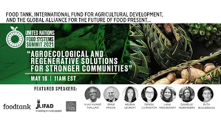 UN Food Systems Champions: Agroecological and Regenerative Solutions.