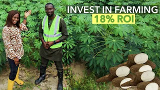 How To Invest In Agriculture In Nigeria (THE RIGHT WAY) | 18% RETURN ON CASSAVA FARMING INVESTMENT