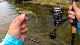 FISHING Z-MAN LURES ON SHALLOW SHORELINES FOR SNOOK AND TROUT