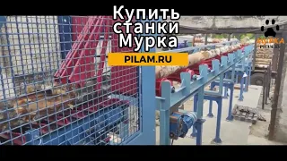 Мурка ЛЕСОПИЛЬНАЯ ЛИНИЯ СИБИРЬ / sawmill line Siberia  pilam.ru