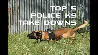 Top 5 Police K9 Take Downs