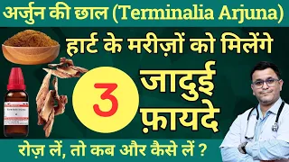 Arjun ki chaal ke fayde Terminalia Arjuna Q Benefits of Arjun ki Chaal Arjuna q homeopathic medicine
