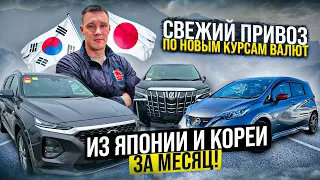 ❗️ОПЕРАТИВНО❗️ Авто из Японии и Кореи ЗА МЕСЯЦ ⏱ ОБЗОР и ЦЕНЫ 💰 VEZEL | X-TRAIL | ALPHARD |SANTA FE