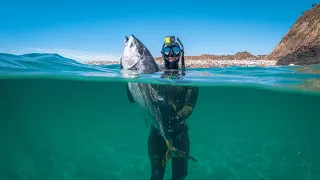 Spearfishing Bluefin Tuna: A Dream Come True!