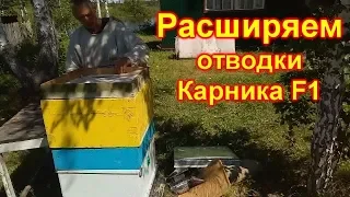 Расширяем отводки Карника часть 2. Медосбор 2019