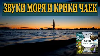 Звуки моря. Крики чаек. Спокойствие и умиротворение. Музыка для сна и медитации. 3 часа