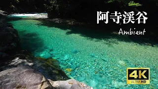 自然の音/環境音 ASMR Ambient 木曽路 阿寺渓谷  川のせせらぎ Uncover the Secrets of the Healing Sounds of Nature in Japan!
