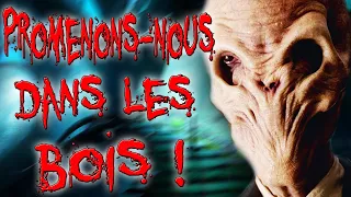 PROMENONS-NOUS DANS LES BOIS ! [CREEPYPASTA FR]