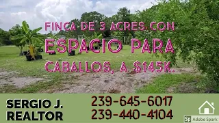 Finca de 3 acres con espacio para caballos, a $145K.