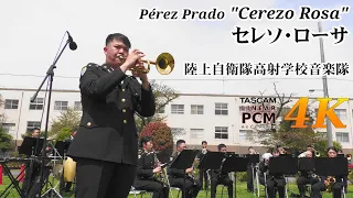 Pérez Prado "Cerezo Rosa" 🎺 Japanese Army Band