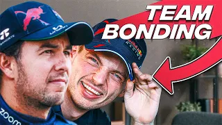 Big Cat Puts Max Verstappen And Sergio Perez In Couples Therapy