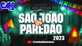 SELEÇÃO - SÃO JOÃO 2023 - AS MELHORES MÚSICAS DO MOMENTO