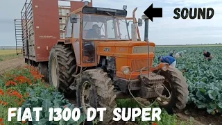 🇮🇹 FIAT 1300 DT Super || Trattore FIAT 1300 DT Super.